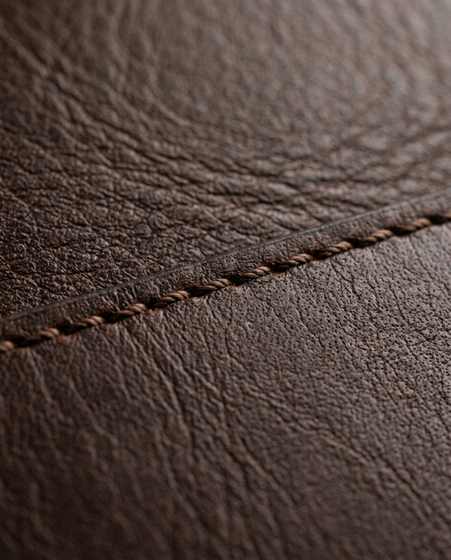 Full grain leather texture of the Leather Belt Classic Grain in dark brown